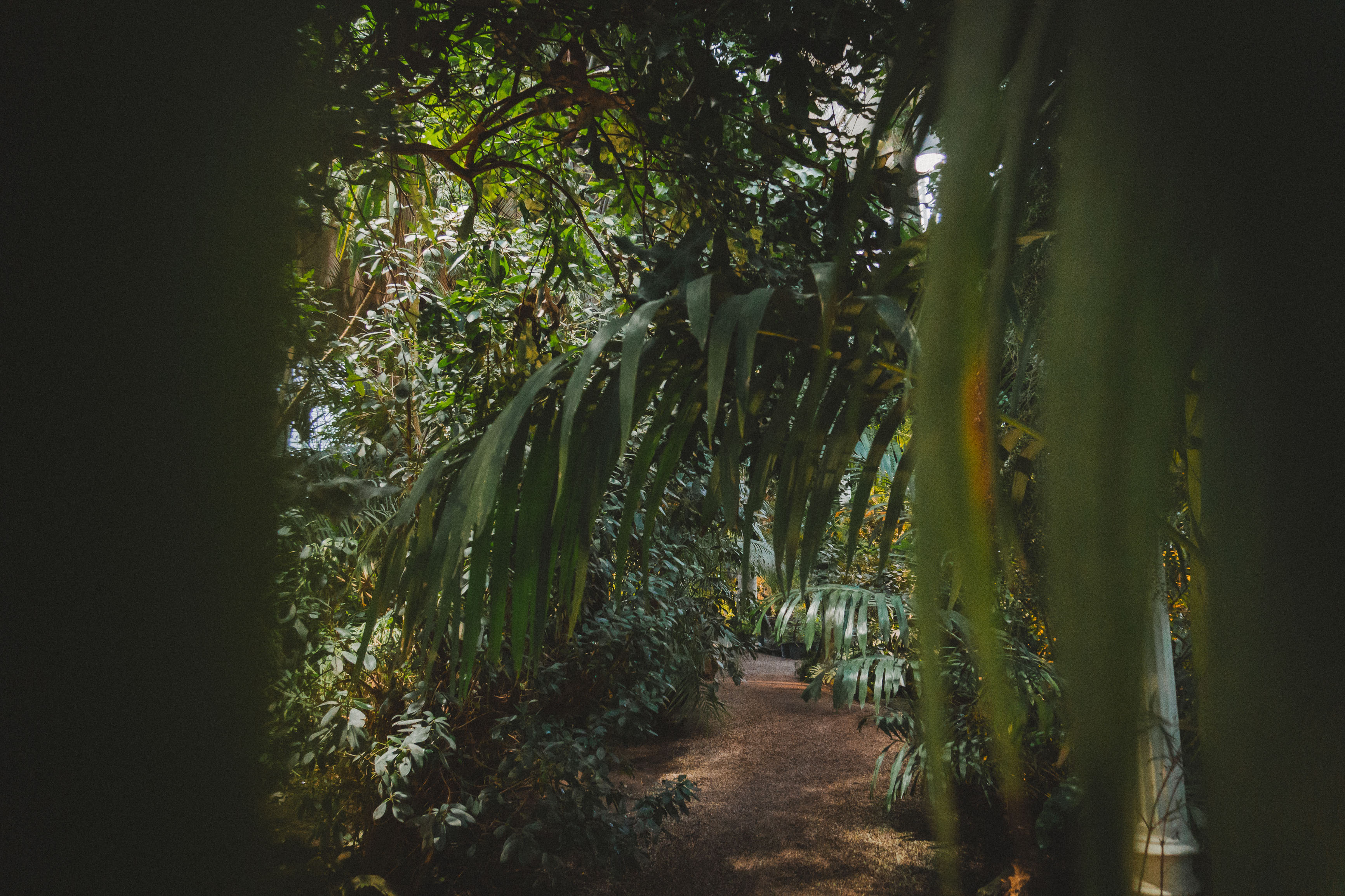Street photography